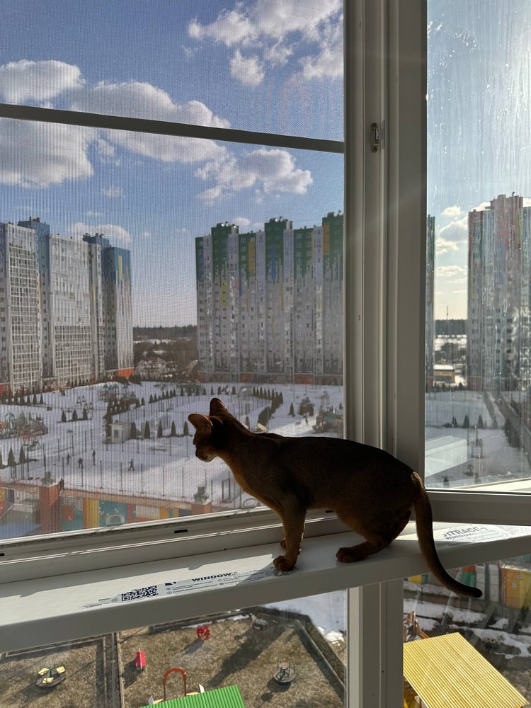 Москитные сетки «Антикошка» в Азове